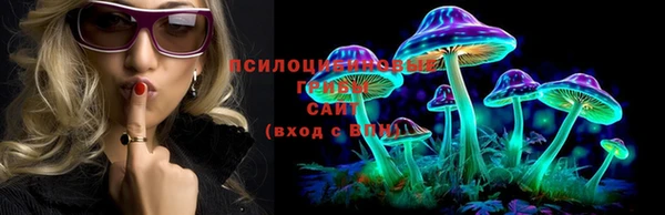 мескалин Кинешма