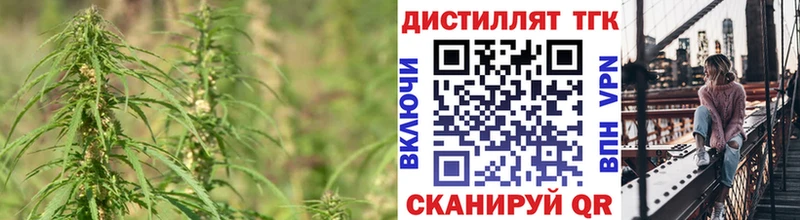 Купить  Алдан  Дистиллят ТГК Wax 