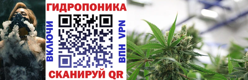 МАРИХУАНА конопля  Купить  Алдан 